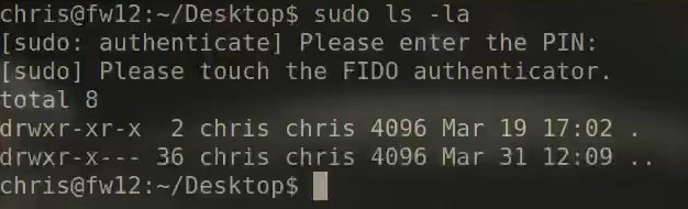 image-20260331121127393