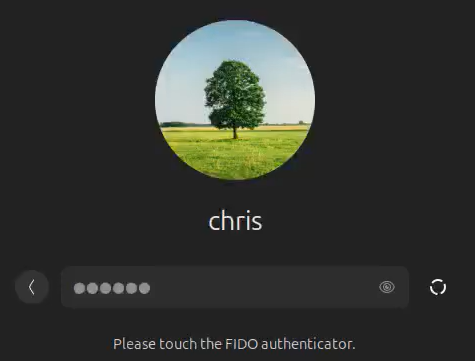 image-20260331121259635